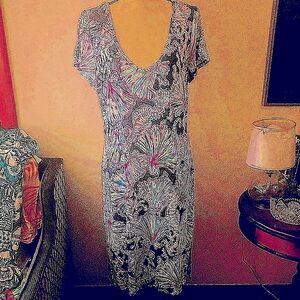 Lilly Pulitzer Multicolor Midi Dress